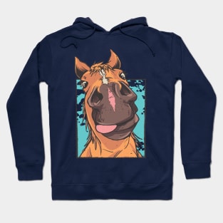 Funny Horse Face Close up Hoodie